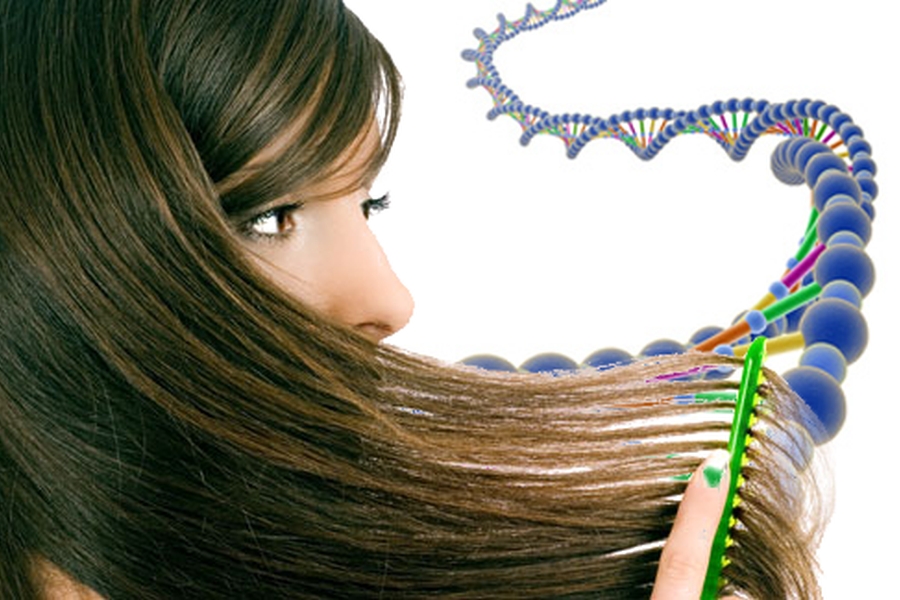 Волосы нужно собирать. Исследование волос. ДНК волос. Экспертиза волос. Спектральный анализ волос.